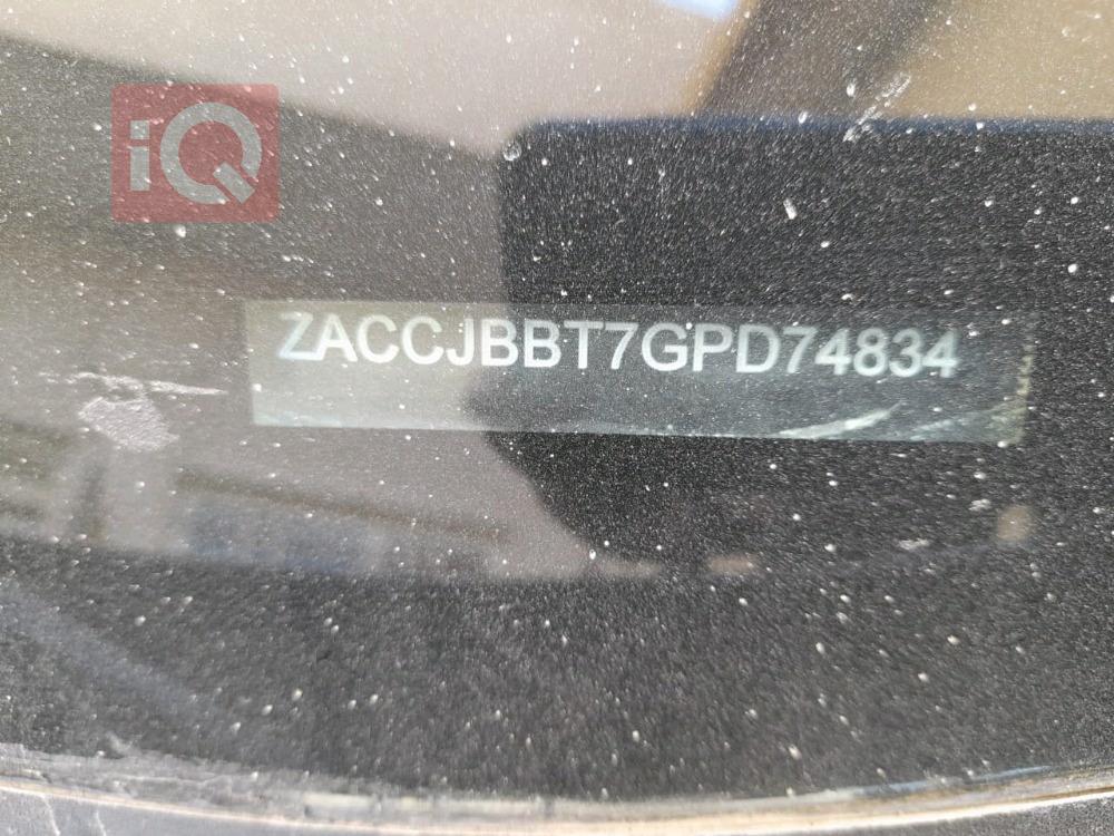 جيب رينيجيد